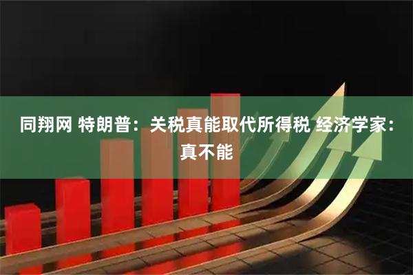 同翔网 特朗普：关税真能取代所得税 经济学家：真不能