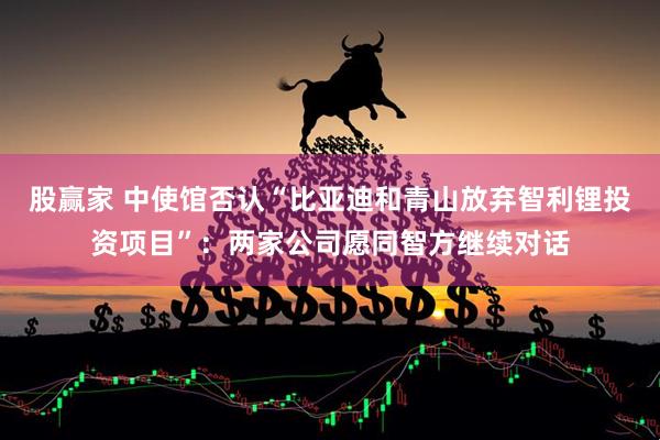 股赢家 中使馆否认“比亚迪和青山放弃智利锂投资项目”：两家公司愿同智方继续对话