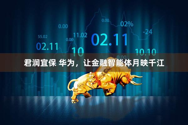 君润宜保 华为，让金融智能体月映千江