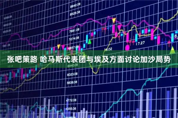 张吧策路 哈马斯代表团与埃及方面讨论加沙局势