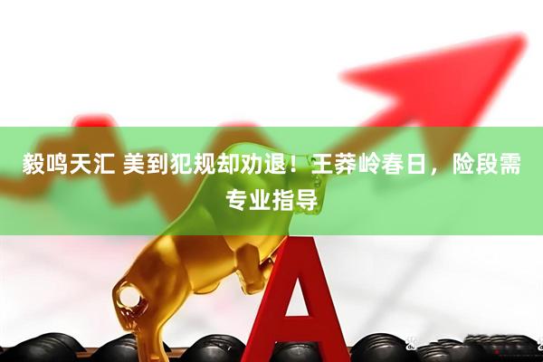 毅鸣天汇 美到犯规却劝退！王莽岭春日，险段需专业指导