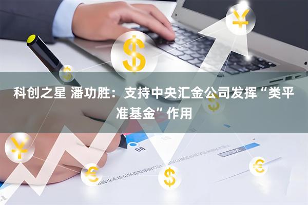科创之星 潘功胜：支持中央汇金公司发挥“类平准基金”作用